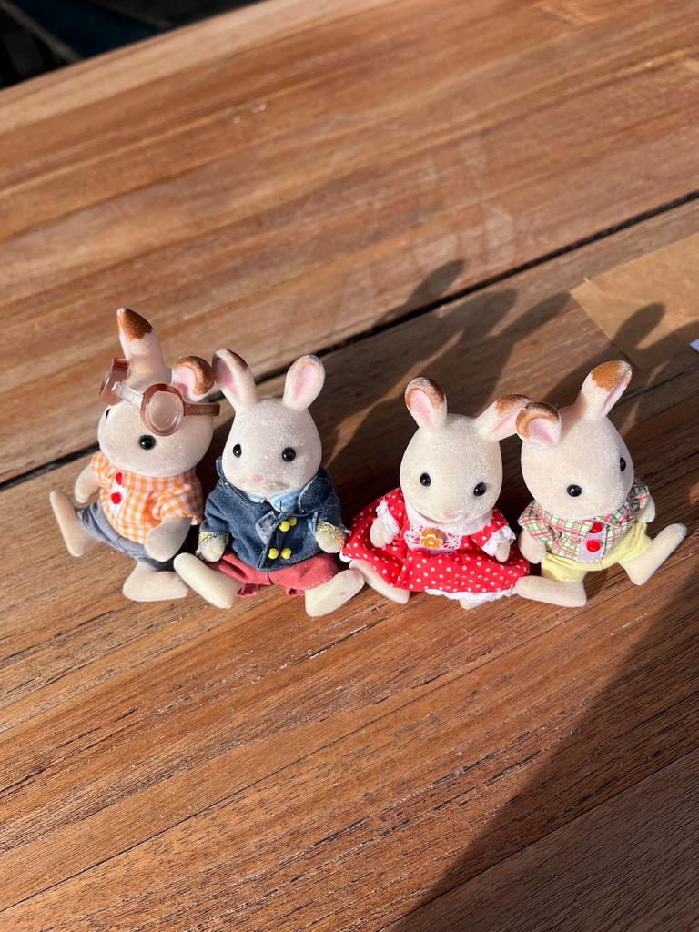 Sylvanian Families konijnenfamilie, Ophalen, Zo goed als nieuw, Jongen of Meisje