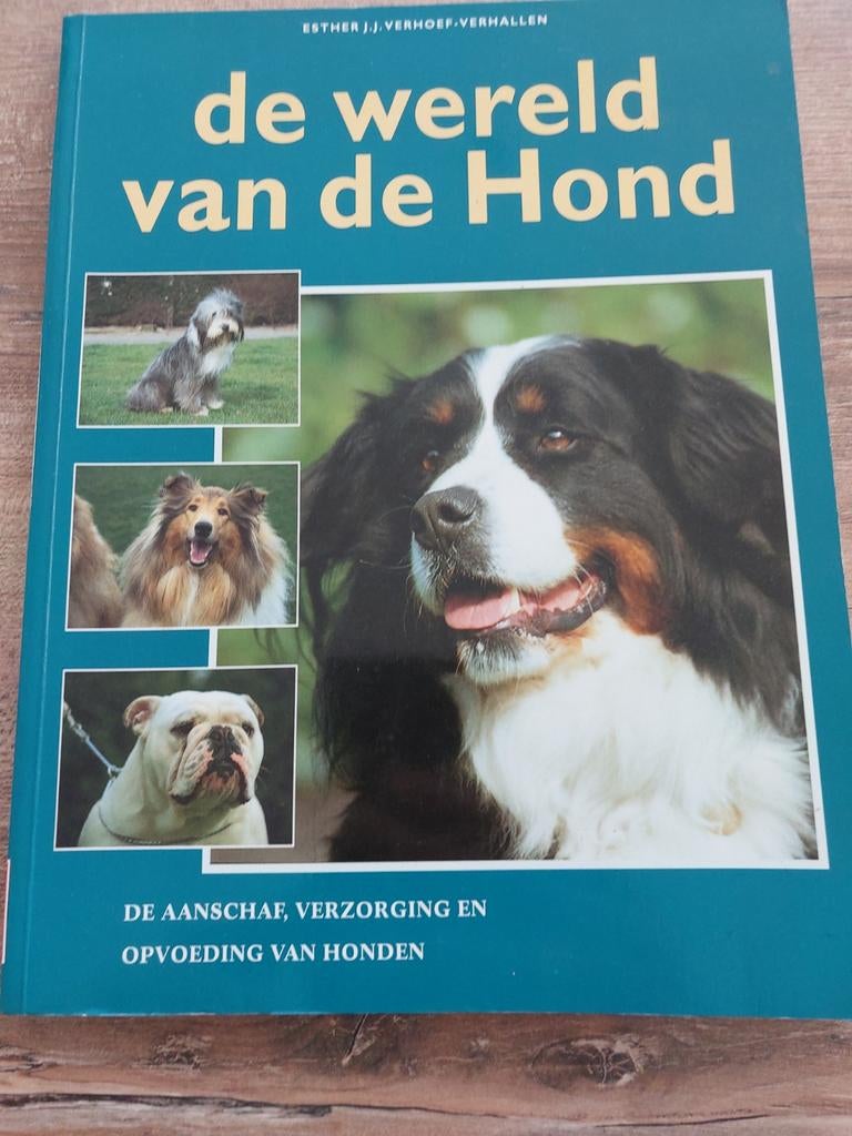 De wereld van de Hond - Esther J.J. Verhoef-Verhallen, Boeken, Ophalen of Verzenden, Zo goed als nieuw, Honden, Esther J.J. Verhoef-Verhallen