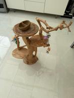 Javaboom papagaai, Ophalen