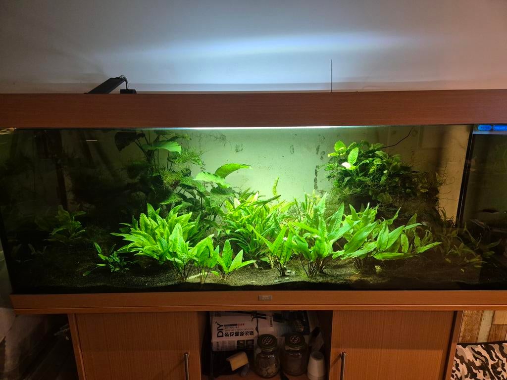 Te koop juwel rio 450 compleet., Dieren en Toebehoren, Ophalen