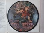 Zeldzaam plaatje / picture disc efteling uit1969, Ophalen of Verzenden, Gebruikt, Overige typen