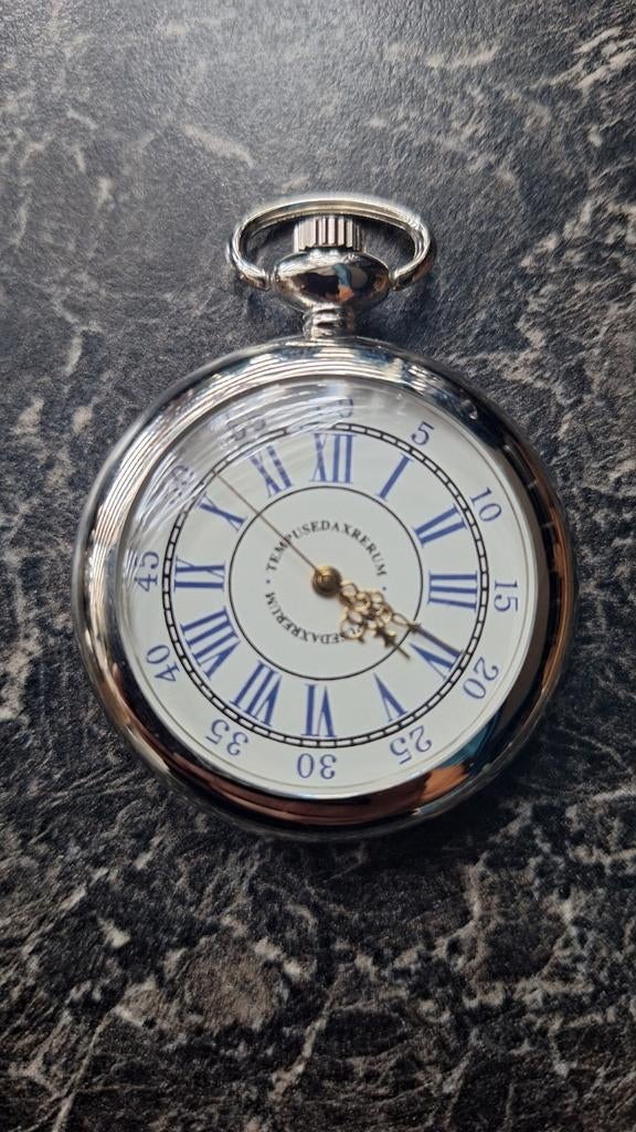 Zakhorloge tempus edax rerum, Verzenden, Staal, Overige merken