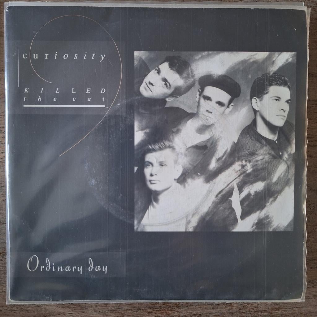 Curiosity Killed the Cat Ordinary day, 7 inch, Single, Ophalen of Verzenden, Zo goed als nieuw