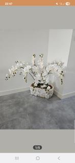 Mooie orginele schelpenvaas beige-creme, Ophalen, Zo goed als nieuw, Aardewerk of Porselein