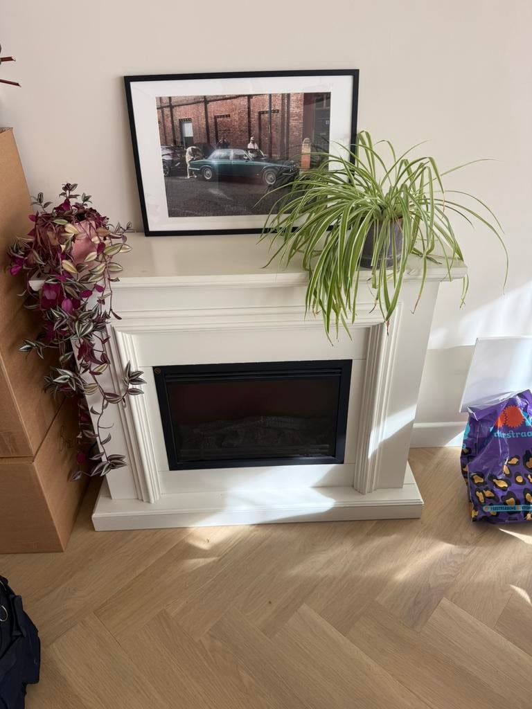 Electrische haard/ verwarming, Ophalen of Verzenden, Zo goed als nieuw, Vrijstaande haard, Elektrische haard