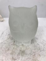 glas uil gesatineerd, Antiek en Kunst, Antiek | Glas en Kristal, Ophalen of Verzenden