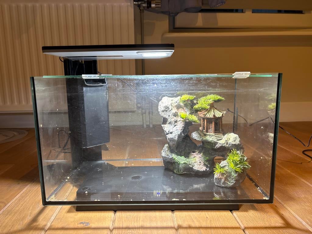 Modern aquarium, Ophalen, Leeg aquarium