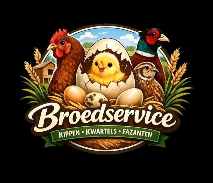 Broedservice Kippen, kwartels en fazanten, Dieren en Toebehoren, Pluimvee