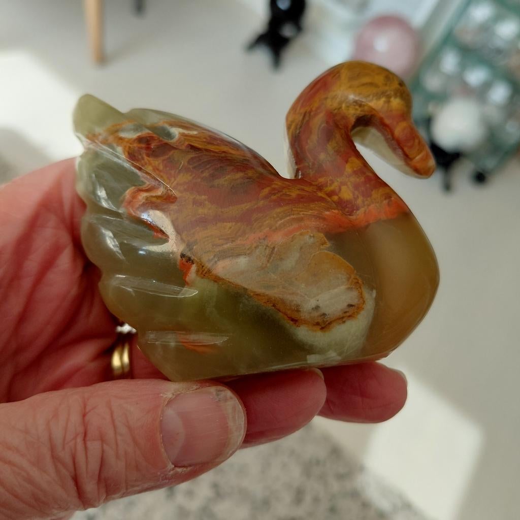Onyx zwaantje, Ophalen of Verzenden, Zo goed als nieuw, Dier