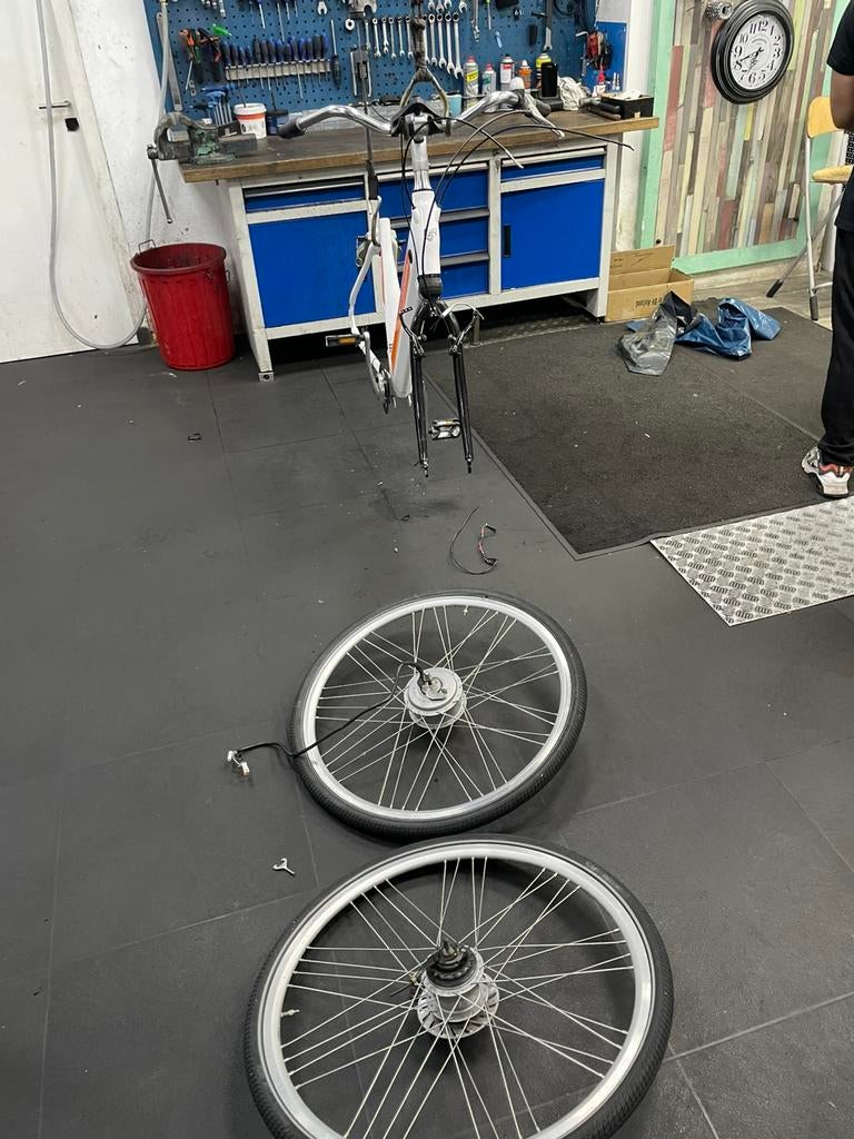 Sparta C2 C3 ION F8E F5E  baggagedrager, controller, display, Ophalen of Verzenden, Zo goed als nieuw, Aanhangfiets, 80 kg of meer