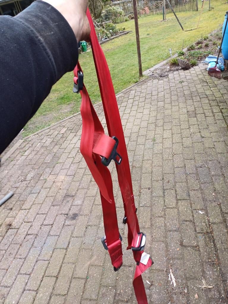 Autocross gordels 1 krat grolsch, Ophalen of Verzenden, Nieuw