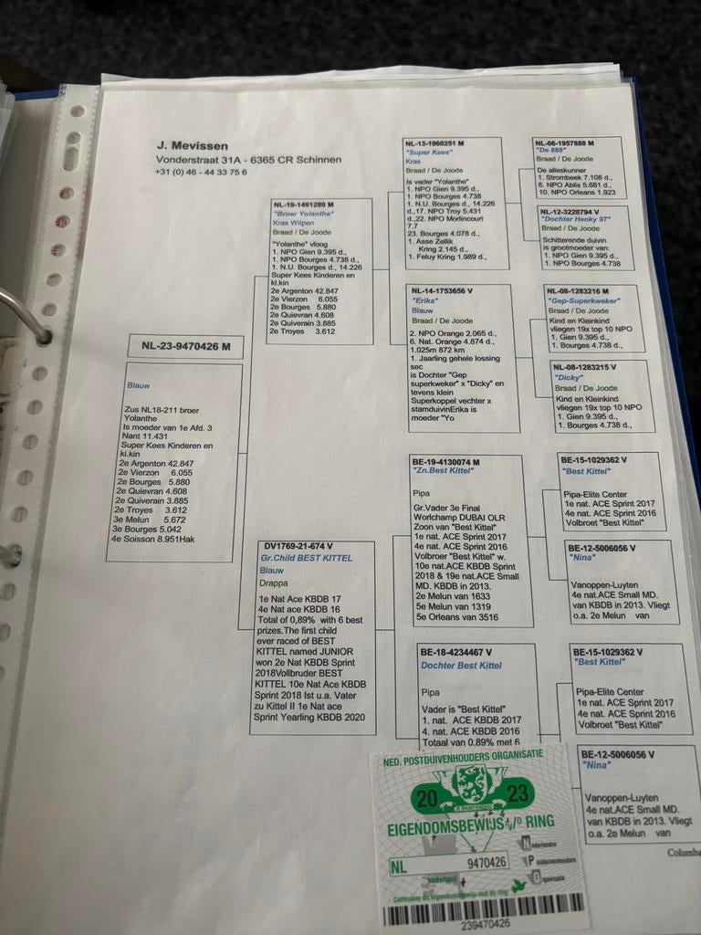 Kweekkoppel, Dieren en Toebehoren, Meerdere dieren, Overige soorten