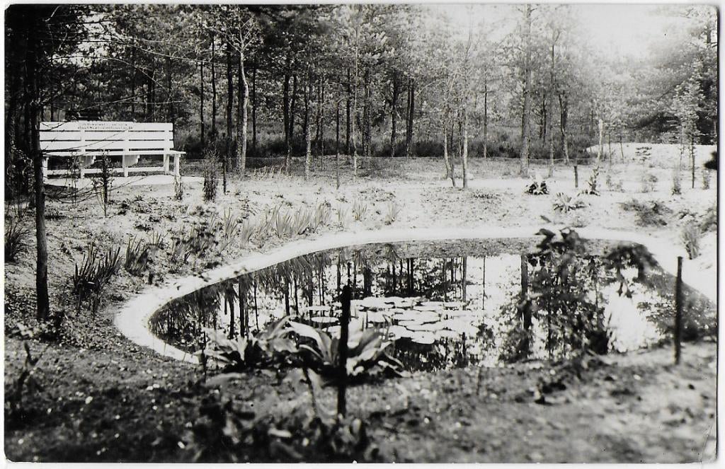Beekbergen Oude Gelopen Ansichtkaart ( B1685 ), Ophalen of Verzenden, 1960 tot 1980, Gelopen, Gelderland