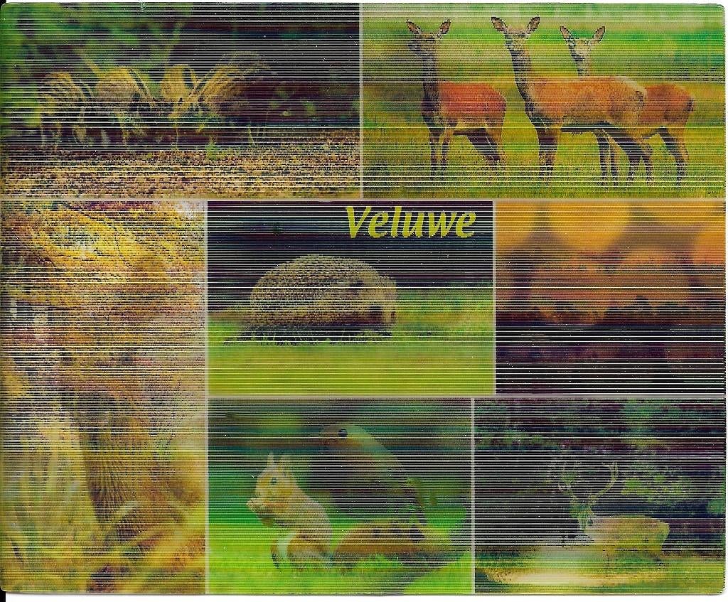 Ansichtkaart	Veluwe	3D	2x7-luik	oa zwijnen, herten,  etc, Verzenden, 1980 tot heden, Gelopen, Gelderland