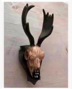 2 Polyresin schedel eland of bok buiten binnen op plaat, Ophalen of Verzenden