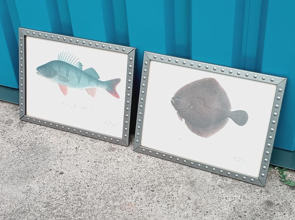 2x Gosta Sundman "Fish", Ophalen, Gebruikt, 1980 tot heden, Dier