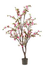 Magnolia boom, Huis en Inrichting, Woonaccessoires | Kunstplanten en Kunstbloemen, Ophalen of Verzenden, Nieuw