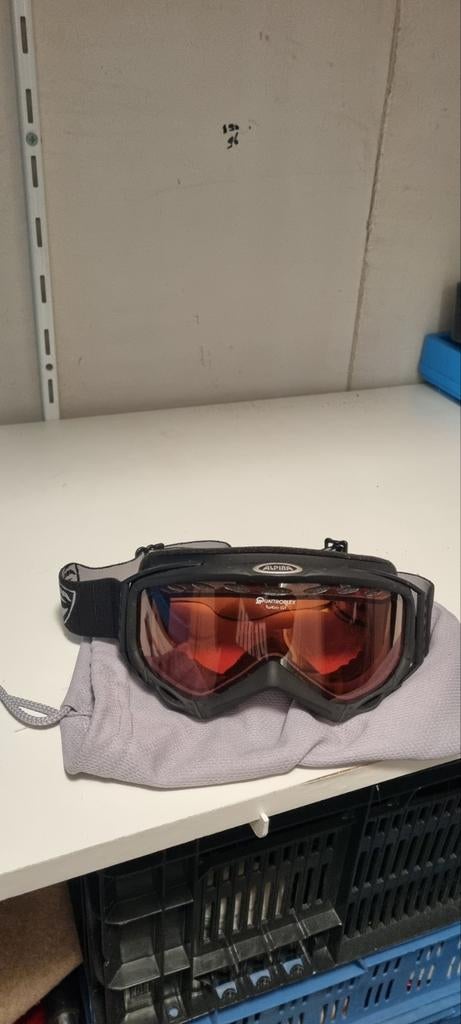 Alpina Skibril - Perfect zicht op de piste, Overige merken, Overige typen, Nieuw, Ophalen of Verzenden