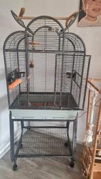 Kooi voor vogel, Ophalen