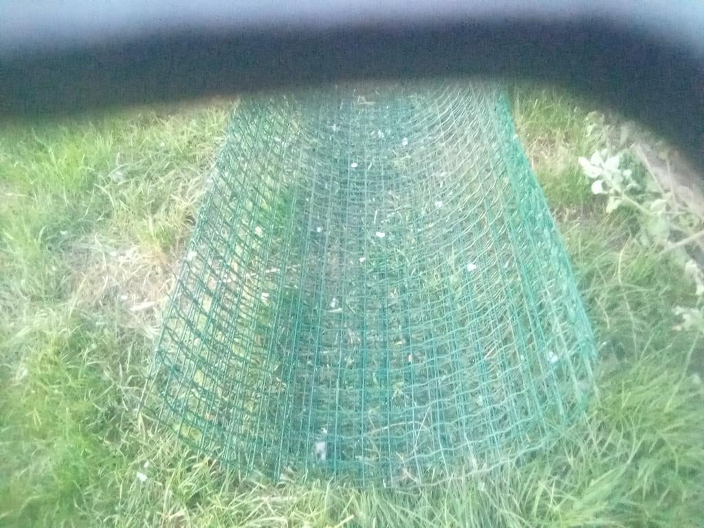 20 stevige boomkorven te koop groen gecoat., Tuin en Terras, Ophalen, Bloeit niet, Volle zon, Overige soorten