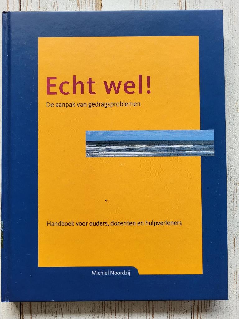 Echt Wel! De aanpak van gedragsproblemen - Michiel Noordzij, Ophalen of Verzenden, Zo goed als nieuw