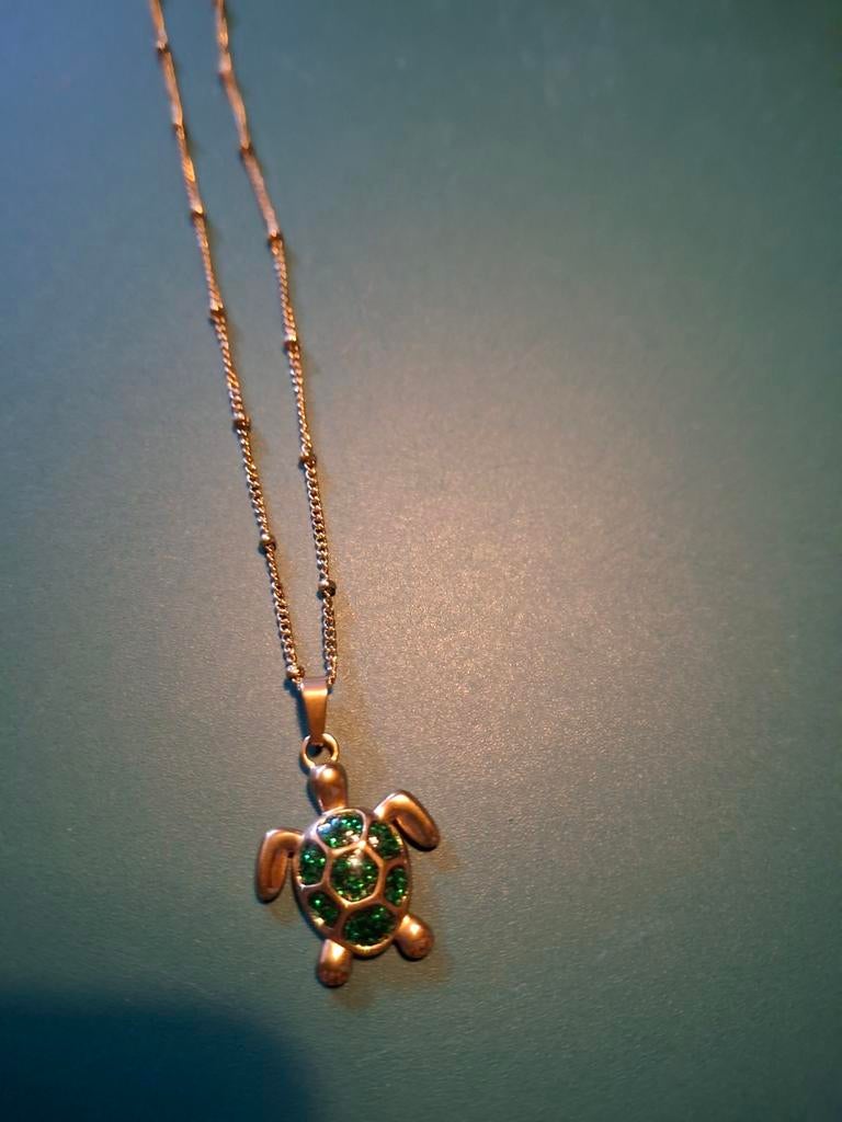 Halsketting met hanger  schildpad, Ophalen of Verzenden, Zilver, Overige materialen, Met hanger