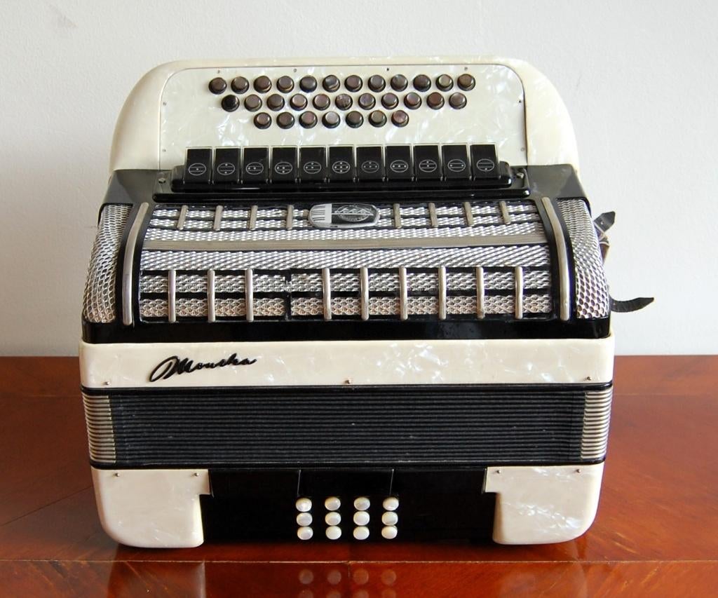 Mooie oude trekzak, Muziek en Instrumenten, Accordeons, Overige merken, Nvt., Gebruikt, PGH Klingende Täler.