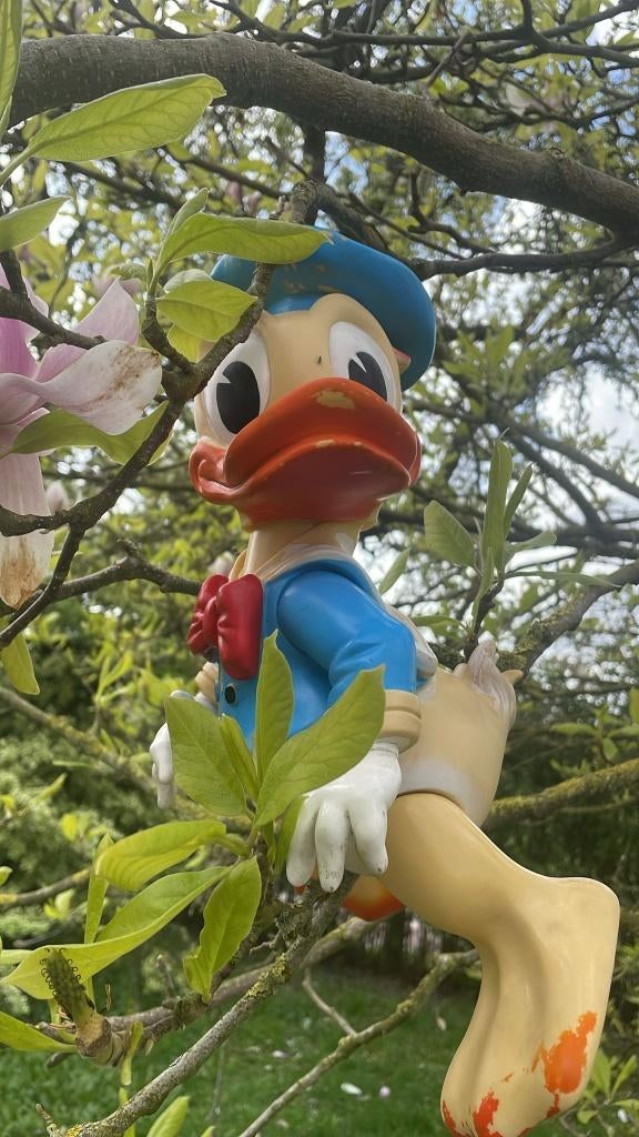 Donald Duck uit 1962, Ophalen of Verzenden