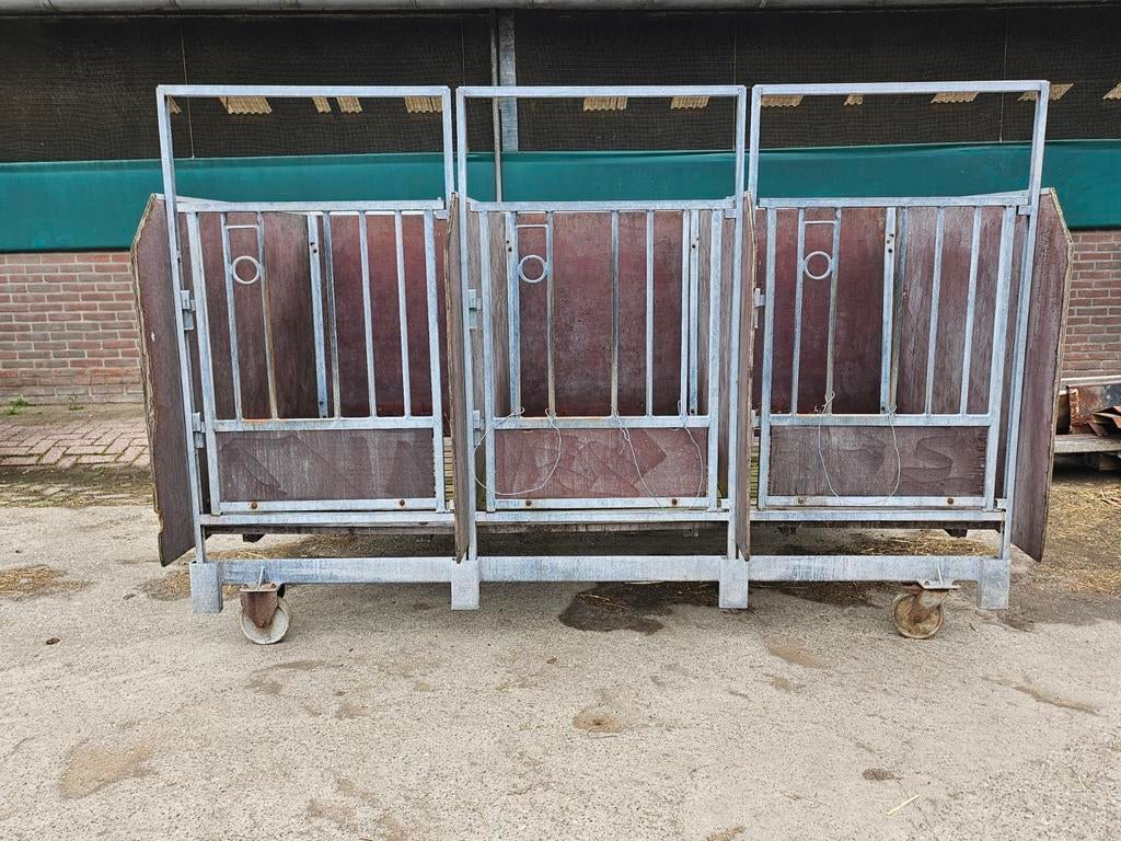 Eenling kalveren boxen, Dieren en Toebehoren