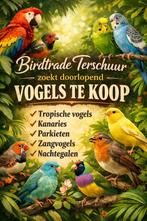 Gezocht ons passende  vogels, Meerdere dieren