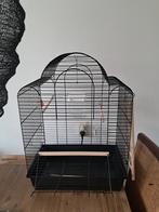 Te koop grote zwarte kooi., Dieren en Toebehoren, Ophalen, Metaal, Vogelkooi