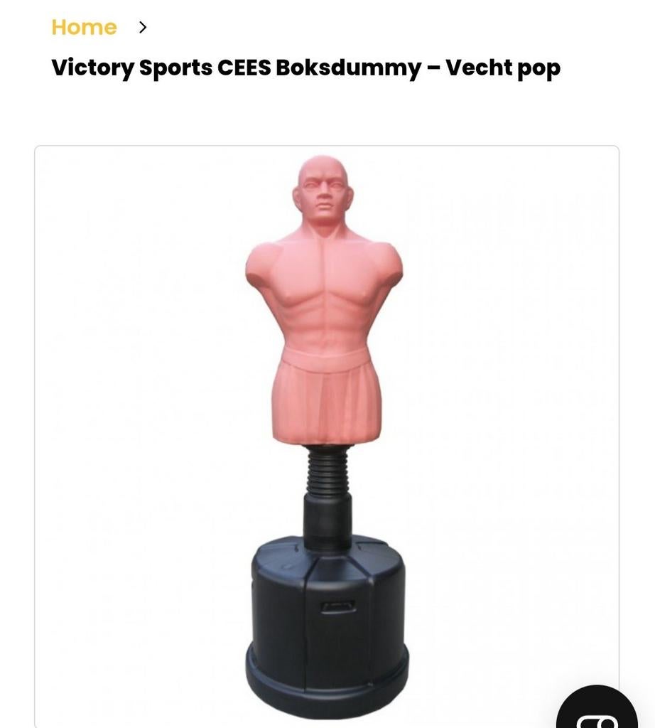 Te koop aangeboden: Vechtpop/ boksdummy!, Ophalen of Verzenden, Zo goed als nieuw, Boksbal
