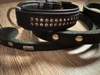 Hunter halsband + lijn strass S, Ophalen of Verzenden, Zo goed als nieuw