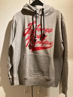 Grijze trui van Jack&Jones, Maat 52/54 (L), Ophalen of Verzenden, Zo goed als nieuw, Grijs