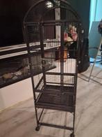 Vogel kooi, Dieren en Toebehoren, Vogels | Parkieten en Papegaaien, Meerdere dieren, Dwergpapegaai of Agapornis