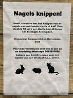 Nagels knippen van cavia, konijn en kat, Ophalen