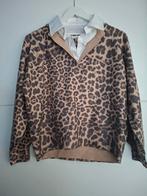 Leuke nieuwe panter trui met kraagje 1 maat t/m 40, Ophalen of Verzenden, Nieuw, Bruin