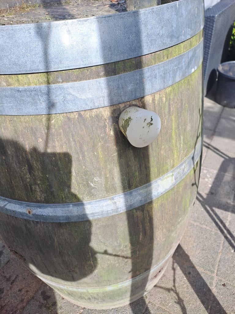 Regenton van wijnvat - Gebruikt, Tuin en Terras, Regentonnen, Gebruikt, Met kraantje, 150 liter of meer, Ophalen of Verzenden