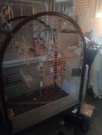 Papegaai kooi, Ophalen, Metaal, Vogelkooi