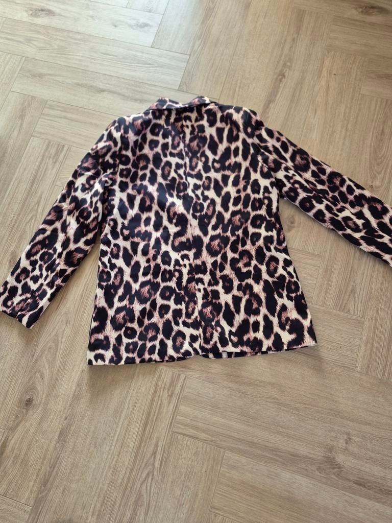 Stijlvolle Leopard Print Blazer - Maat M, Bruin, Maat 46/48 (XL) of groter, Ophalen of Verzenden, Onbekend