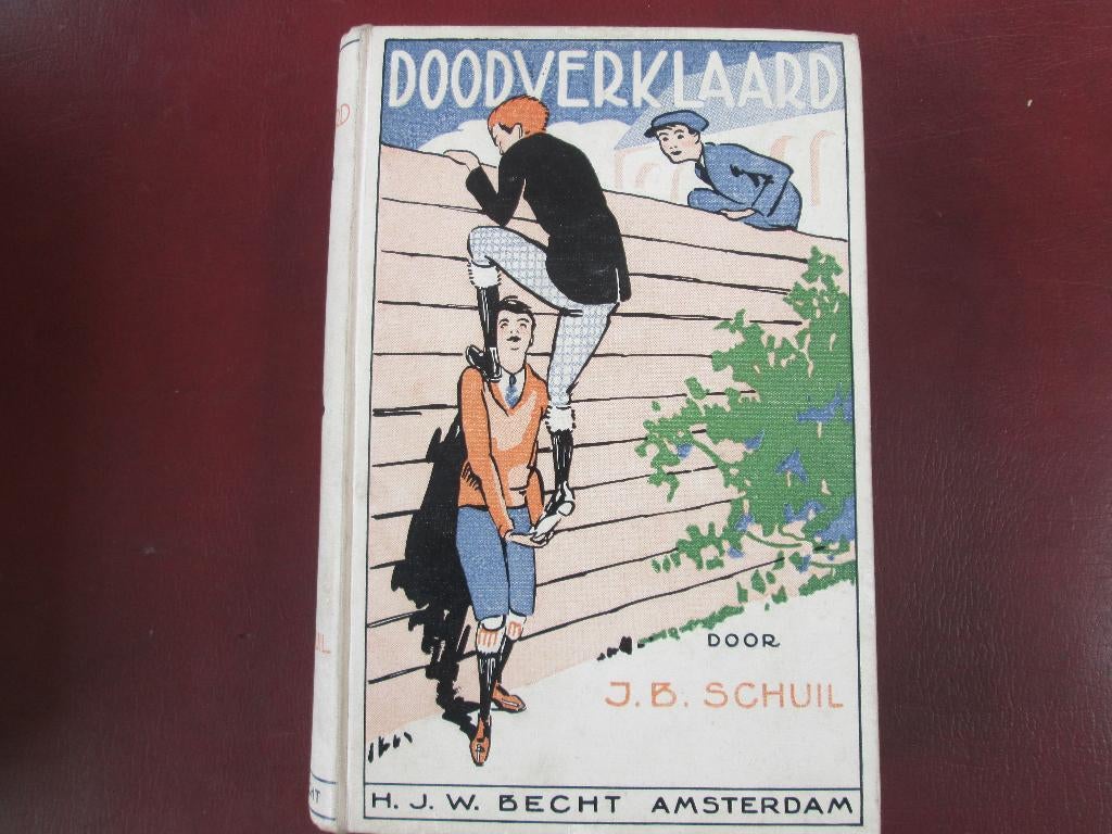 Doodverklaard, door J. B. Schuil, Ophalen of Verzenden, Gelezen, Fictie