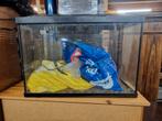 Glazen aquarium / terrarium 60  30 cm | Met LED-verlichting, Dieren en Toebehoren, Ophalen, Nvt, Nvt, Nvt