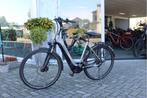 Pegasus Ravenna EVO 5 l Bosch Performance l 500wh l 55cm