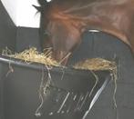 Gezocht: Hay Bar (2x), Dieren en Toebehoren, Ophalen of Verzenden, Overige soorten