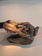Dino hoofd, Ophalen of Verzenden, Zo goed als nieuw