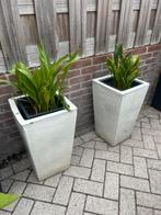 2 Zware Plantenbakken wit geglazuurd, Tuin en Terras, Bloembakken en Plantenbakken, Ophalen, Zo goed als nieuw, Steen, Minder dan 60 cm
