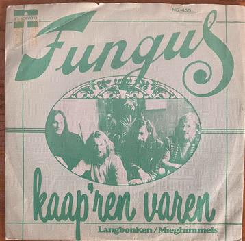 Fungus - Kap’ren varen / Langbonken/ Mieghimmels beschikbaar voor biedingen