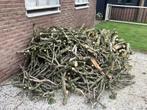 Berkenhout, Minder dan 3 m³, Ophalen of Verzenden