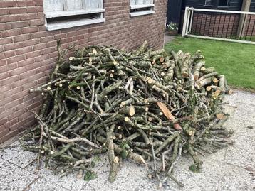 Berkenhout beschikbaar voor biedingen