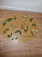 Hoya steekjes pakket 15x voor €15, Overige soorten, Minder dan 100 cm, Ophalen of Verzenden, Halfschaduw